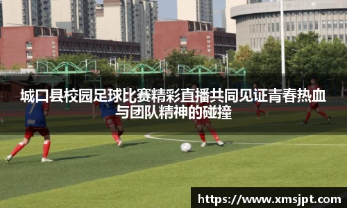 彩神vl购彩大厅